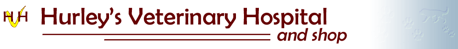 Hurley's Veterinary Hospital